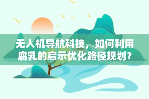 无人机导航科技，如何利用腐乳的启示优化路径规划？
