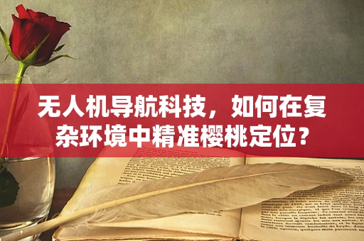 无人机导航科技，如何在复杂环境中精准樱桃定位？