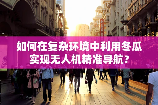 如何在复杂环境中利用冬瓜实现无人机精准导航？