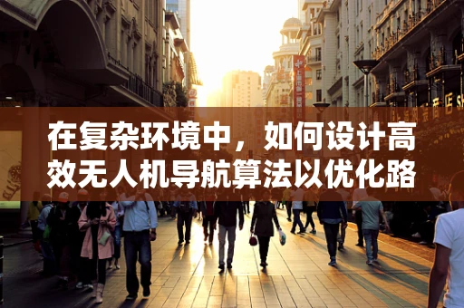 在复杂环境中，如何设计高效无人机导航算法以优化路径规划？