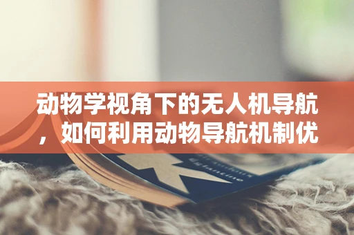 动物学视角下的无人机导航，如何利用动物导航机制优化无人机路径规划？