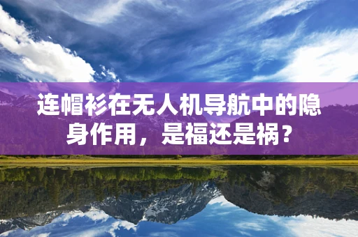 连帽衫在无人机导航中的隐身作用，是福还是祸？