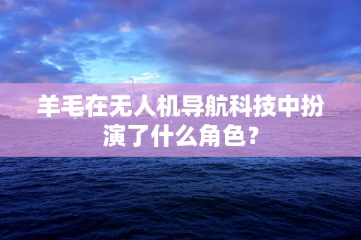 羊毛在无人机导航科技中扮演了什么角色？