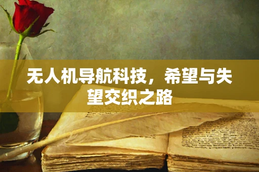 无人机导航科技,希望与失望交织之路 无人机导航科技,希望与失望交织之路