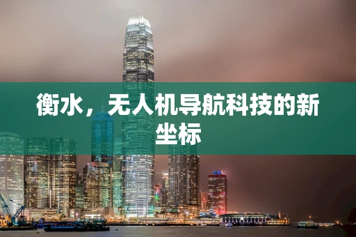 衡水，无人机导航科技的新坐标