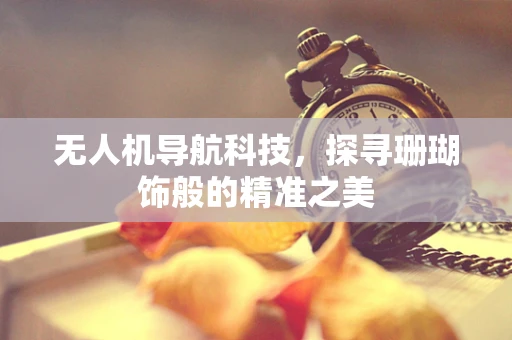 无人机导航科技,探寻珊瑚饰般的精准之美 无人机导航科技,探寻珊瑚饰般的精准之美