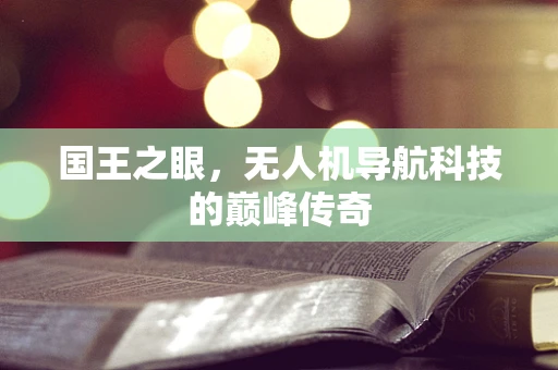 国王之眼,无人机导航科技的巅峰传奇