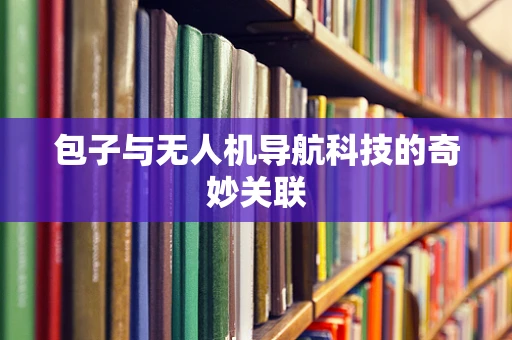 包子与无人机导航科技的奇妙关联 包子与无人机导航科技的奇妙关联