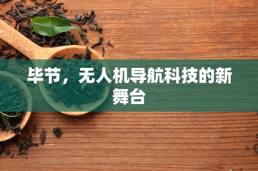 毕节,无人机导航科技的新舞台 毕节,无人机导航科技的新舞台
