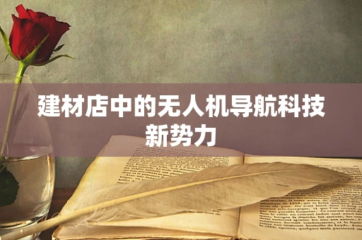 建材店中的无人机导航科技新势力